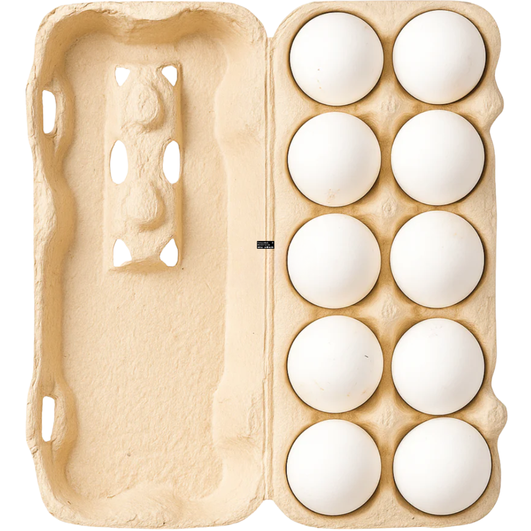 10 Frische Eier