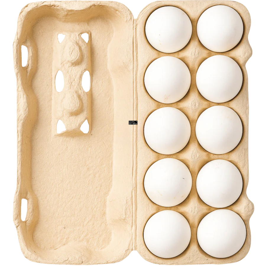 10 Frische Eier