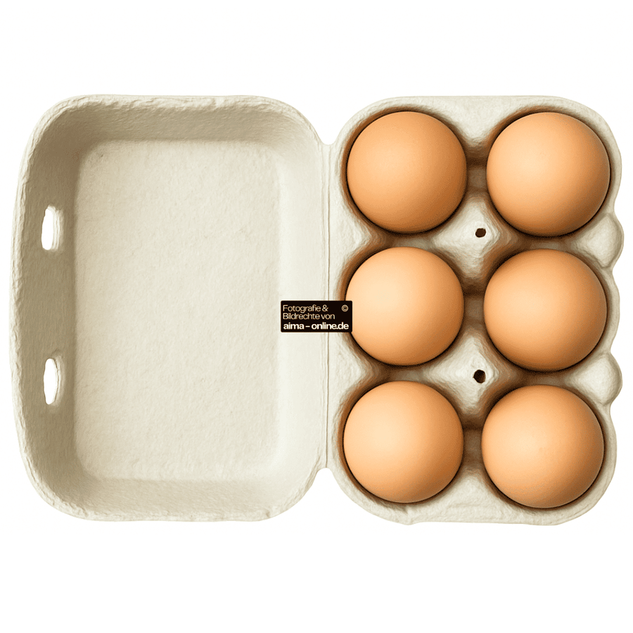 6 frische Bio-Eier Grösse M