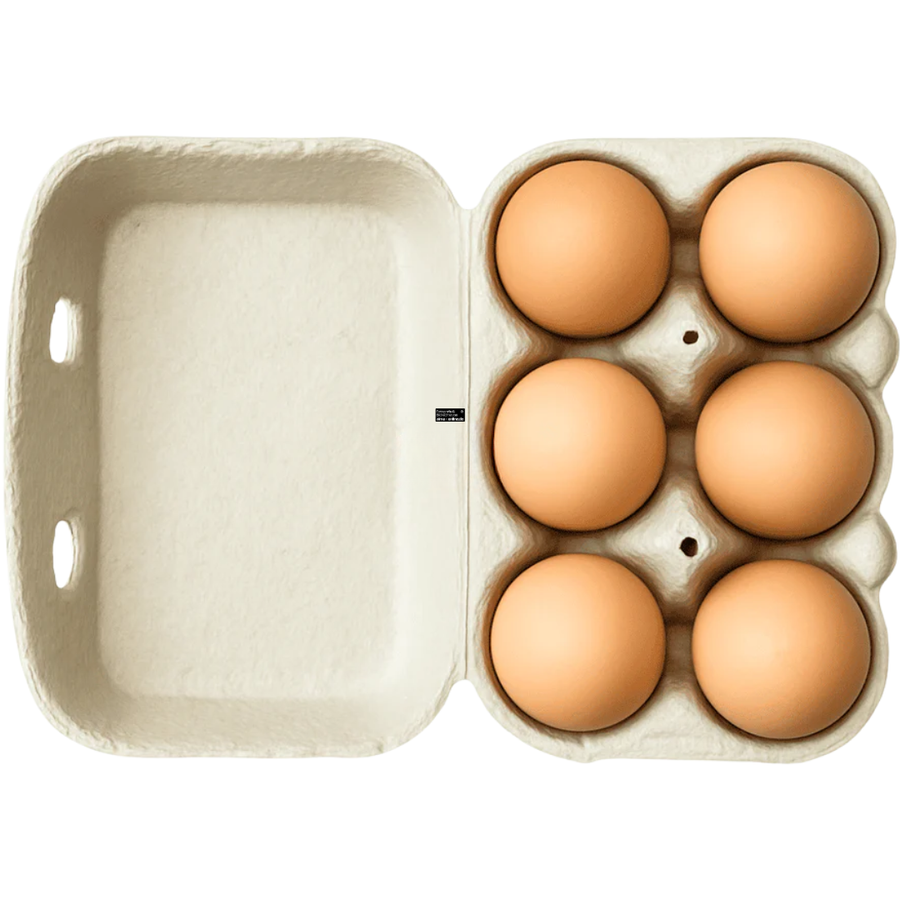 6 frische Bio-Eier