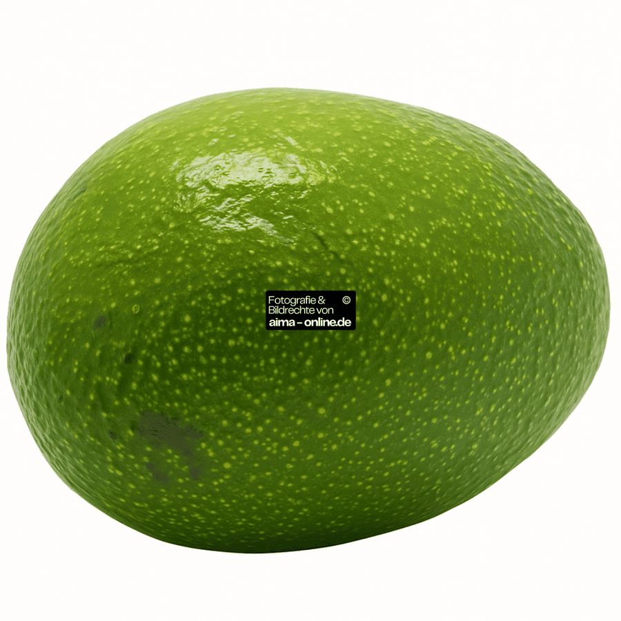 Avocado 