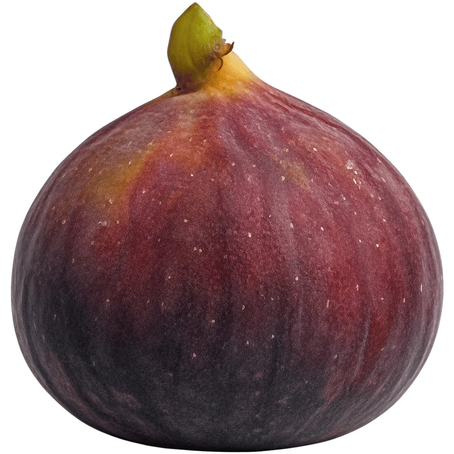 Frische Feige 1 Stück