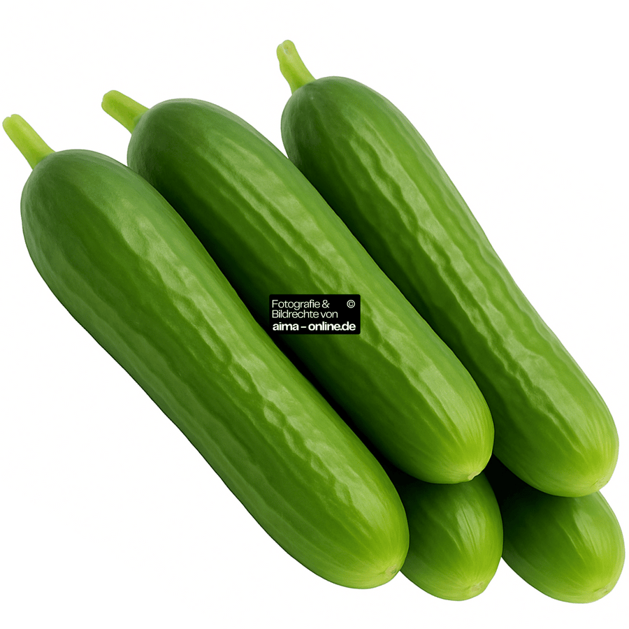 5 Stück Minigurken