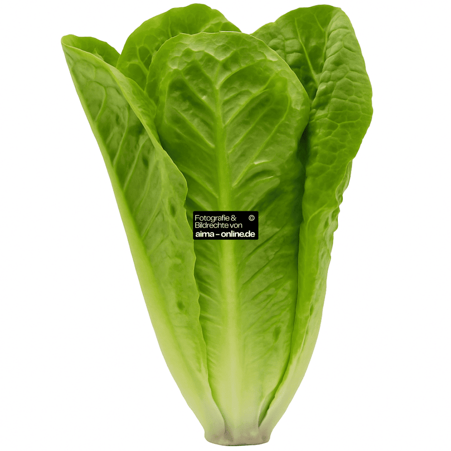 Römersalat