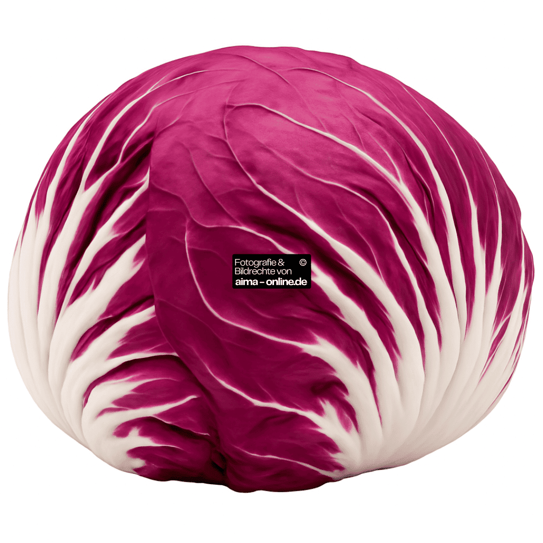 Radicchio_Frisch