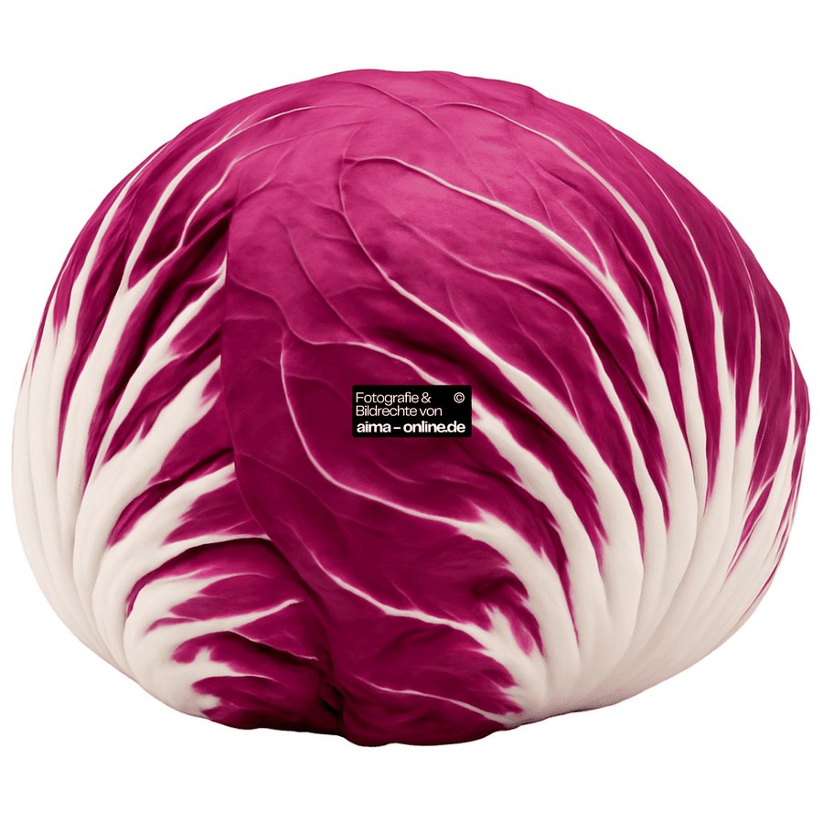 Radicchio_Frisch