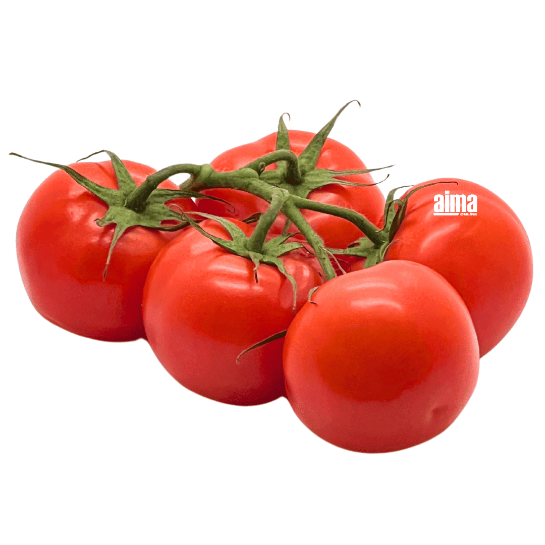 Strauchtomaten 