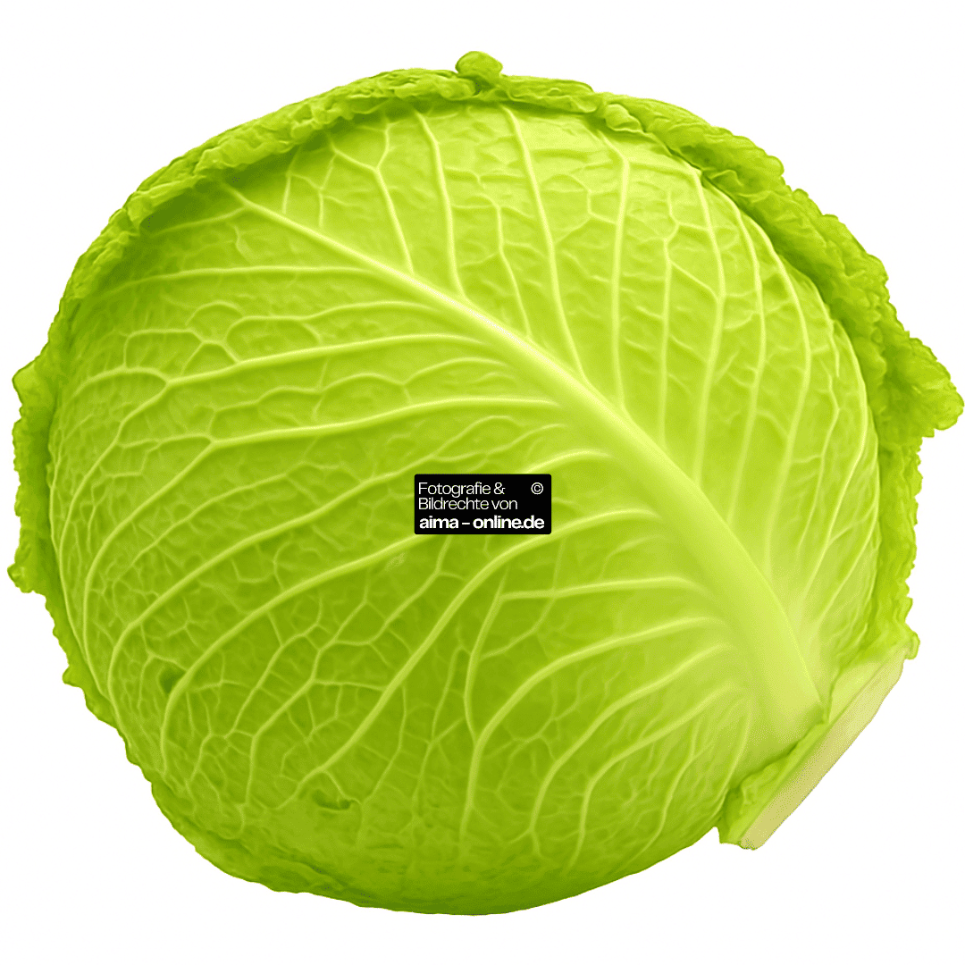Wirsingkohl_frisch