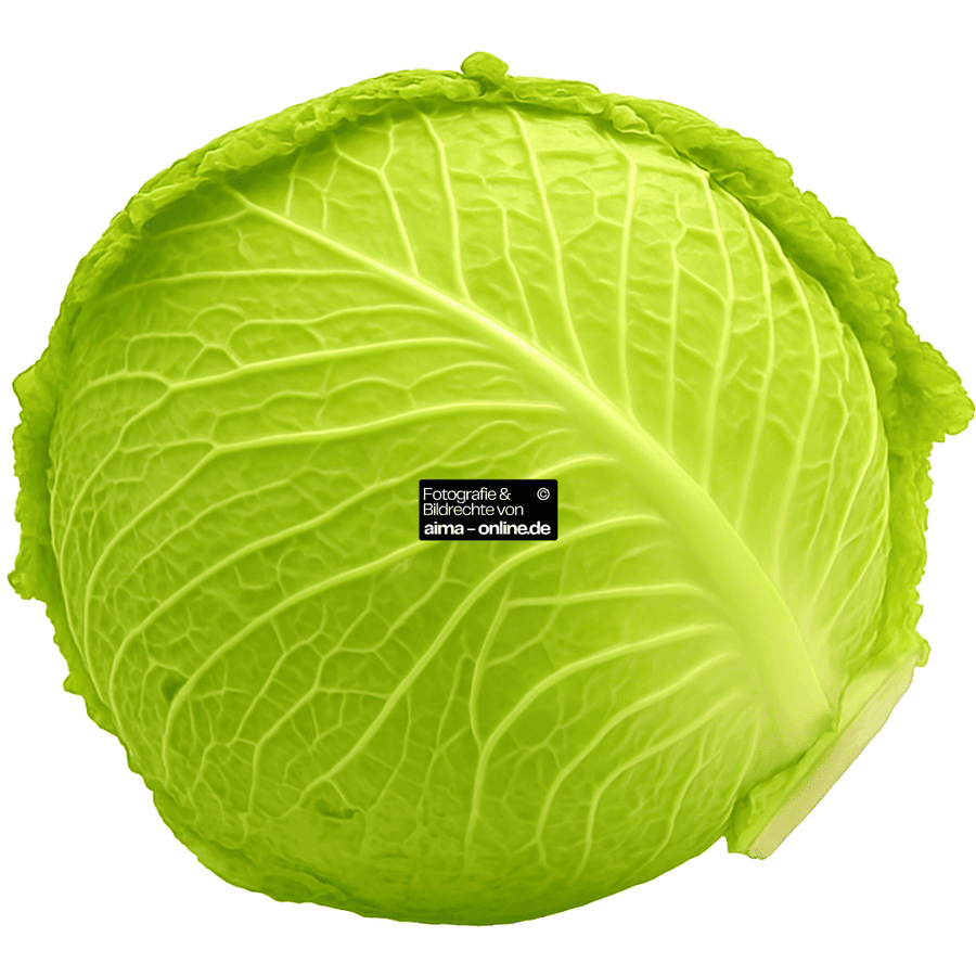 Wirsingkohl_frisch