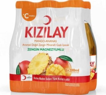 Kizilay Mineralwasser mit Mango-Ananasgeschmack 6x200ml